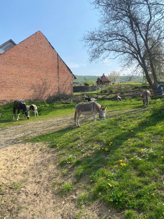 Fewo Im Reit- Und Ponyparadies Roos Halle  Zewnętrze zdjęcie