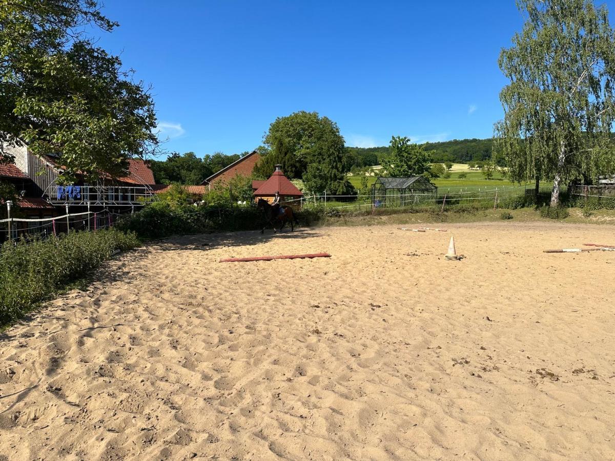 Fewo Im Reit- Und Ponyparadies Roos Halle  Zewnętrze zdjęcie