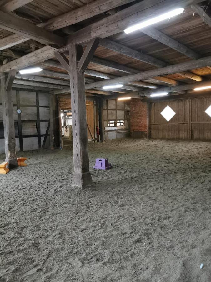 Fewo Im Reit- Und Ponyparadies Roos Halle  Zewnętrze zdjęcie