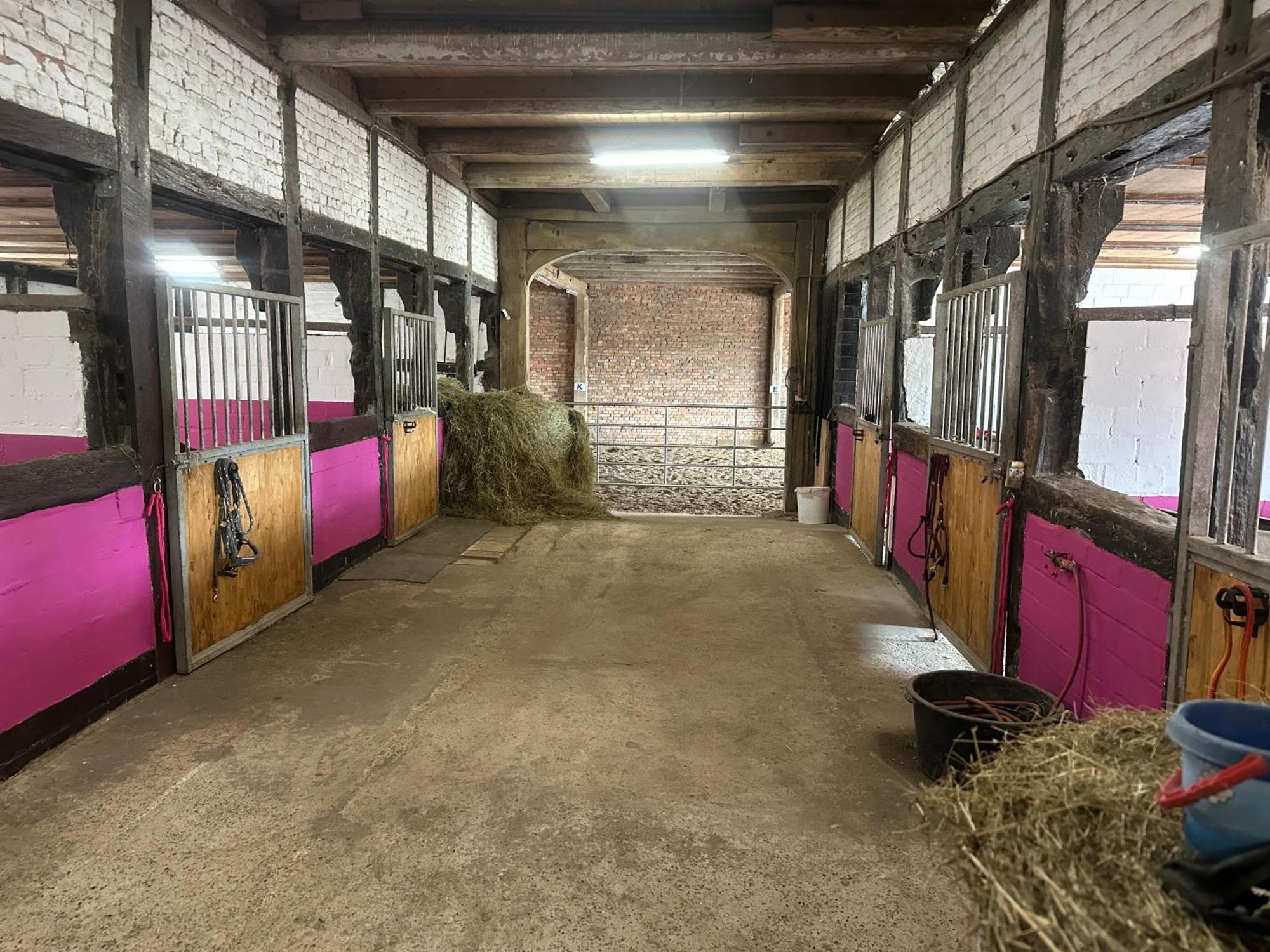 Fewo Im Reit- Und Ponyparadies Roos Halle  Zewnętrze zdjęcie