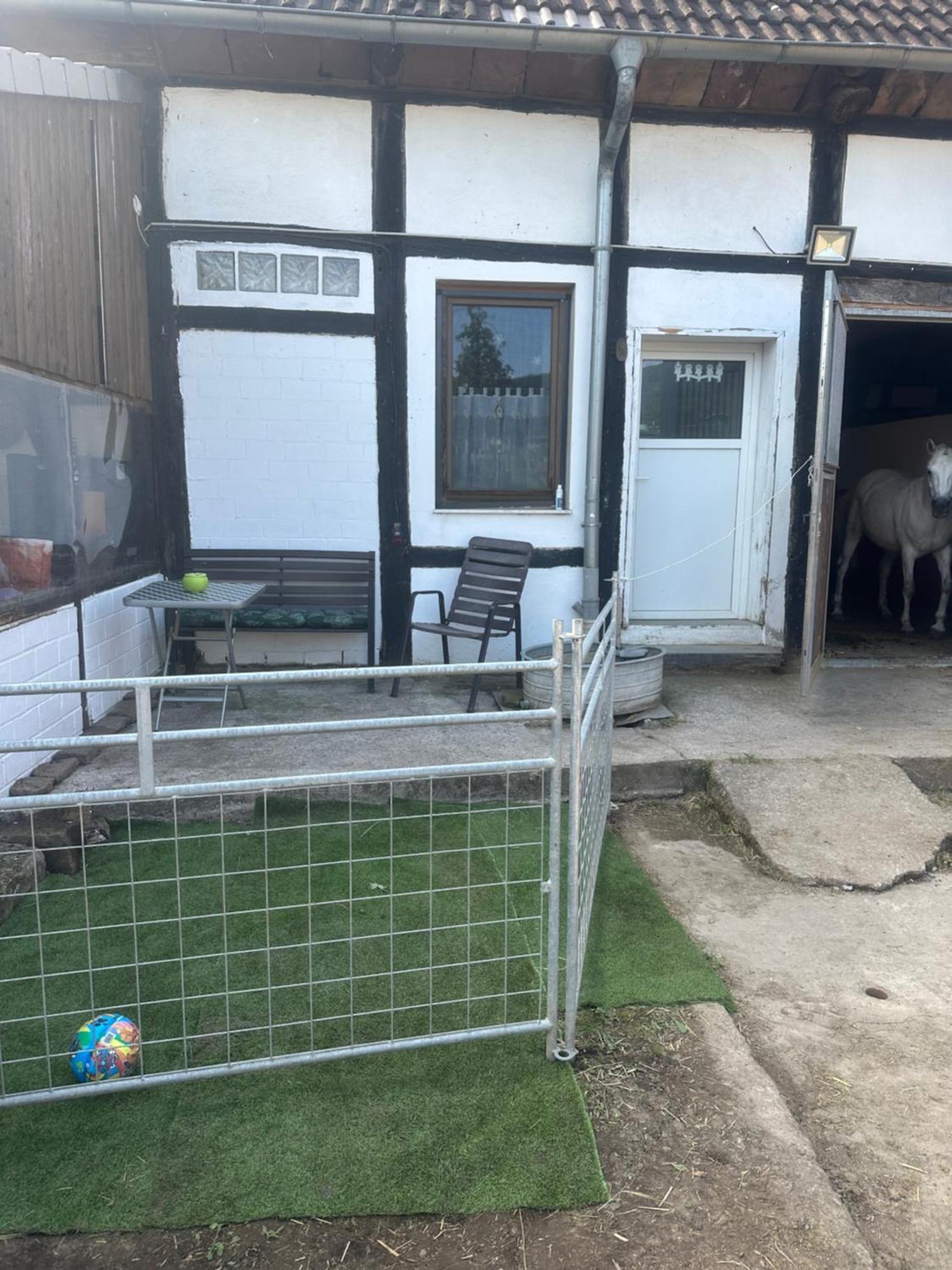 Fewo Im Reit- Und Ponyparadies Roos Halle  Zewnętrze zdjęcie